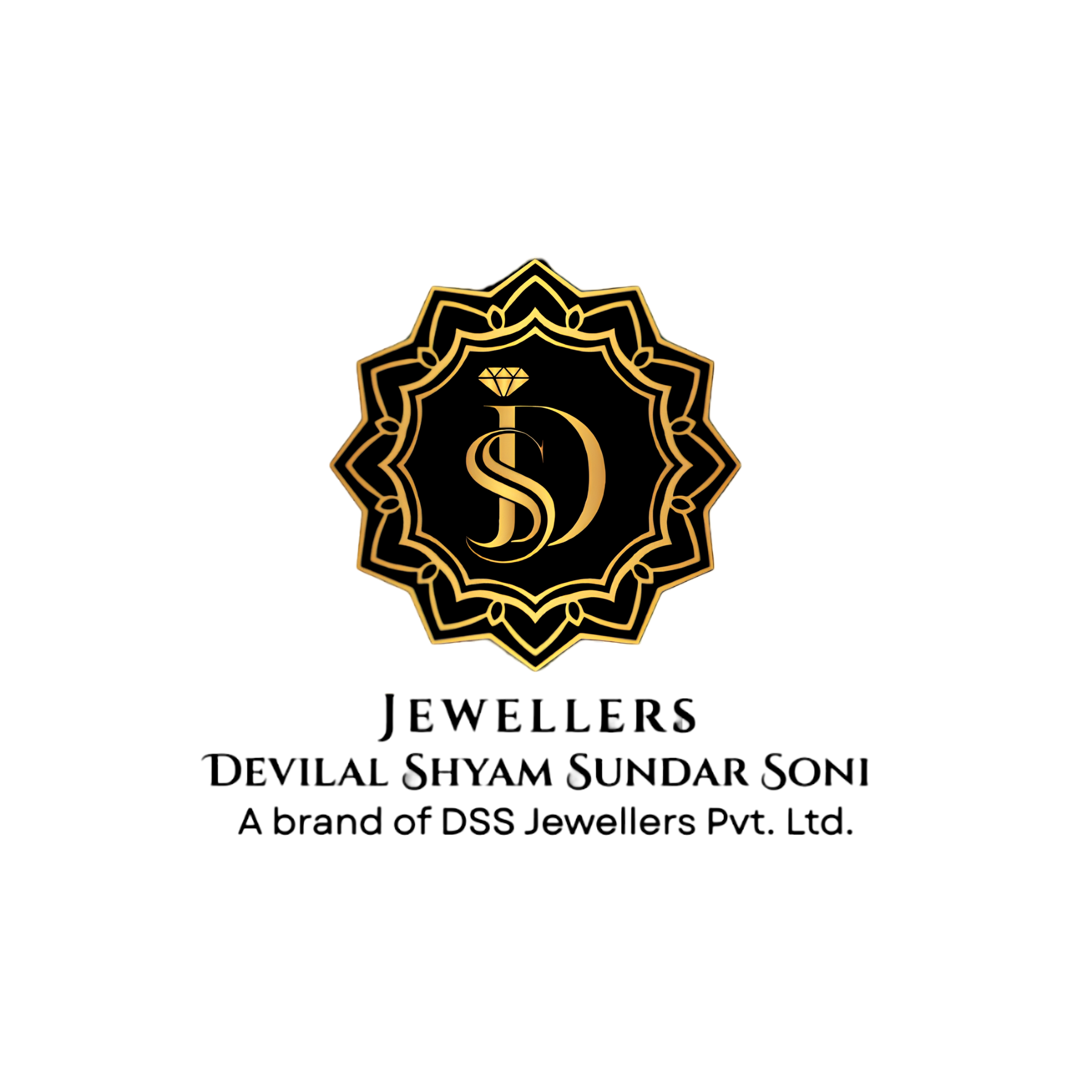 DSS Logo